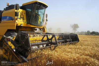 ۱ میلیون و ۸۰۰ هزار تن گندم از كشاورزان خرید شد