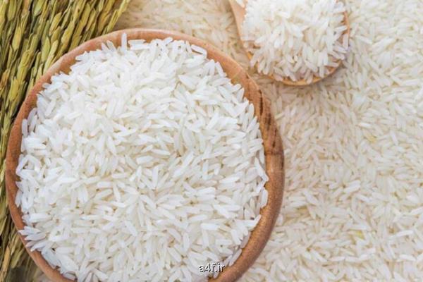 آغاز توزیع ۱۰۰ هزار تن برنج خارجی در بازار