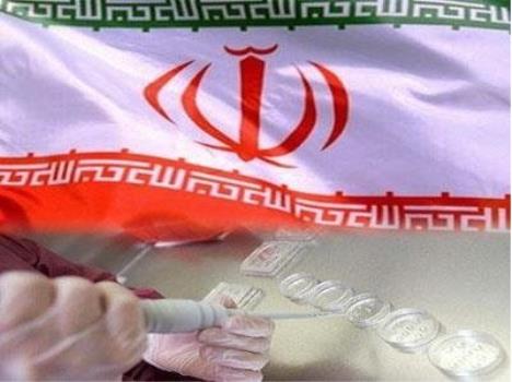 انتشار نسخه انگلیسی کتاب جامع محصولات نانو ساخت ایران
