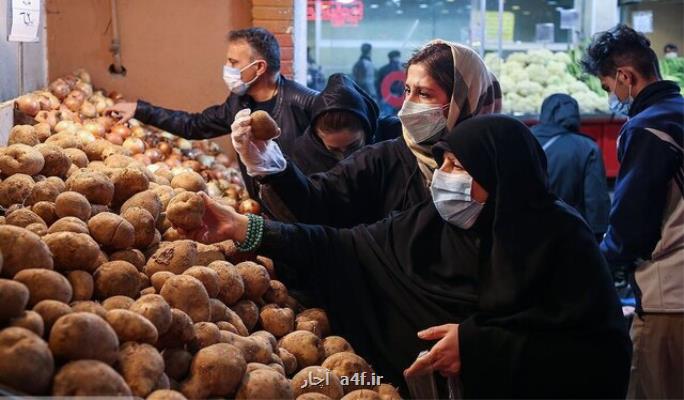 بازار ملتهب سیب زمینی در کردستان