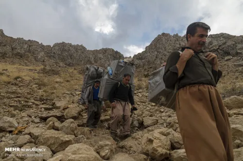 ۱۰ قلم کالا به لیست کالاهای قابل ورود با رویه کولبری افزوده شد