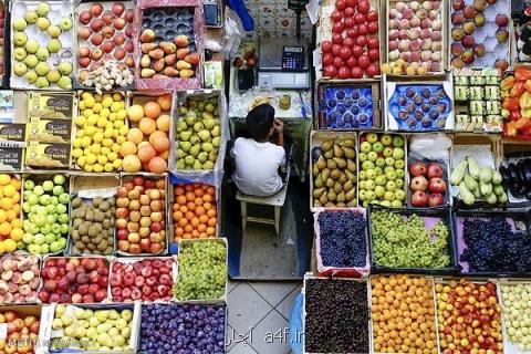 ضوابط جدید در صادرات و واردات میوه