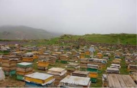 از انتقال كندوها به جای خنك تا آبیاری شبانه در مناطق شور