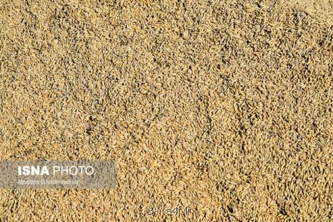 برخی سودجویان، كالاهای وارداتی را به قیمت آزاد می فروشند