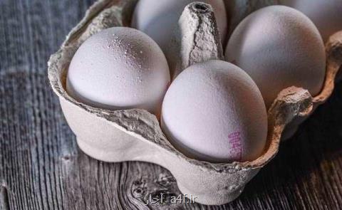 آزاد شدن صادرات تخم مرغ سپس ممنوعیت ۳ ماهه