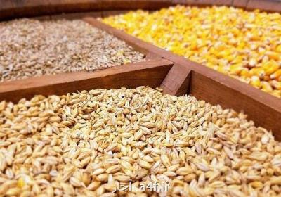 معرفی متقاضیان واردات بیشتر از ۱۲ و نیم میلیون تن نهاده دامی به دولت