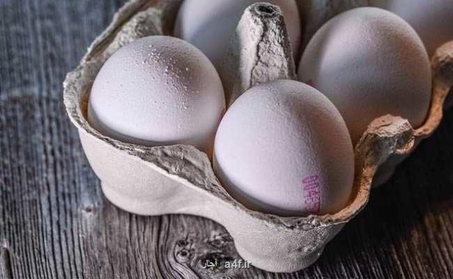 افزایش مصرف و صادرات دلیلهای افزایش قیمت مجدد تخم مرغ