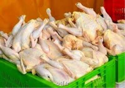 صادرات مرغ تا اطلاع ثانوی ممنوع گردید